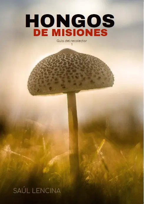 Tapa del libro Hongos de Misiones