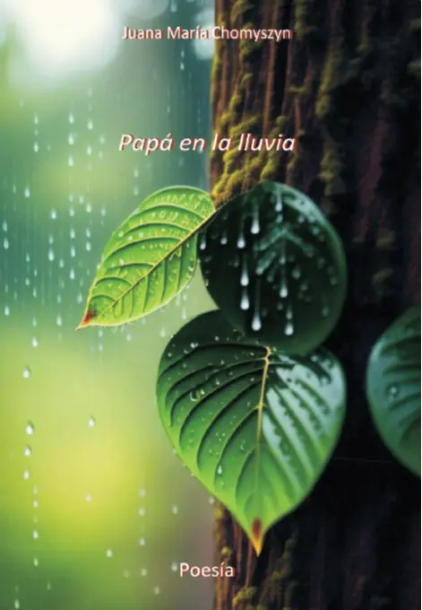 Tapa del libro Papá en la lluvia