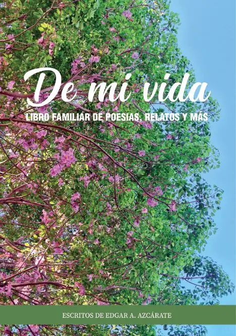 Tapa del libro De mi v da