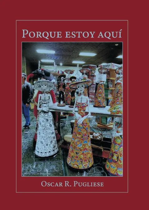 Tapa del libro Porque estoy Aquí