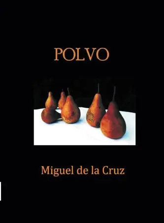Tapa del libro Polvo